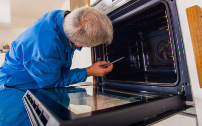 DIY vs. Professional Wolf Oven Maintenance: A Comparison